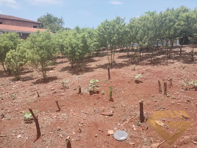 #TE 1299 - Área para Venda em Quinta do Sol - PR - 1