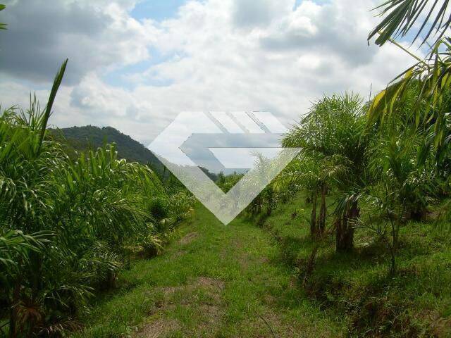 #TE1371 - Área para Venda em Suzano - SP - 3